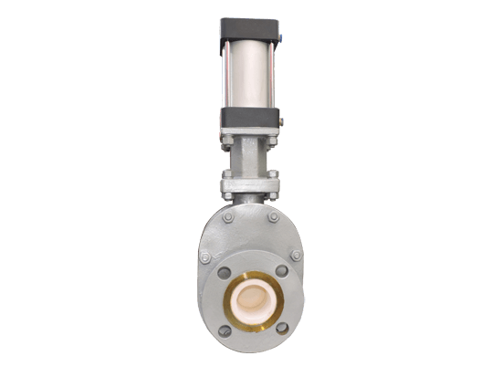 ceamic double gate valve 02