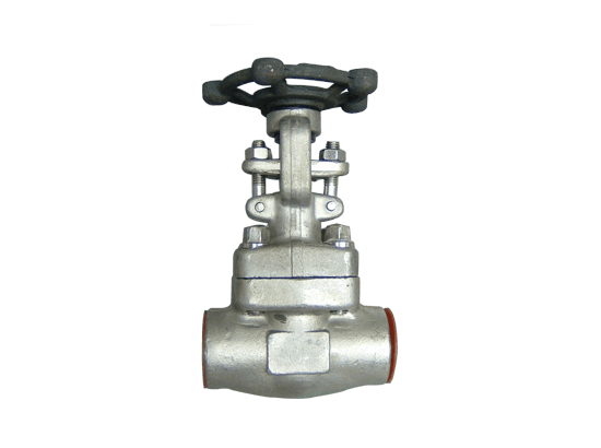 SW Ends Forged Steel Globe Valve