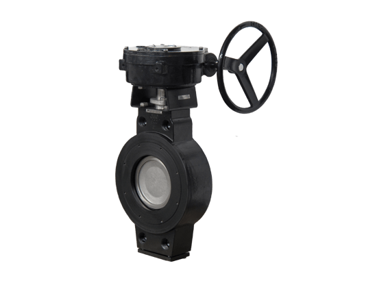 High Performance Butterfly Valve01