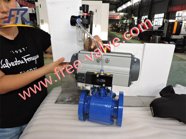 A105 Body Flange Type Ceramic Lined Ball Valve
