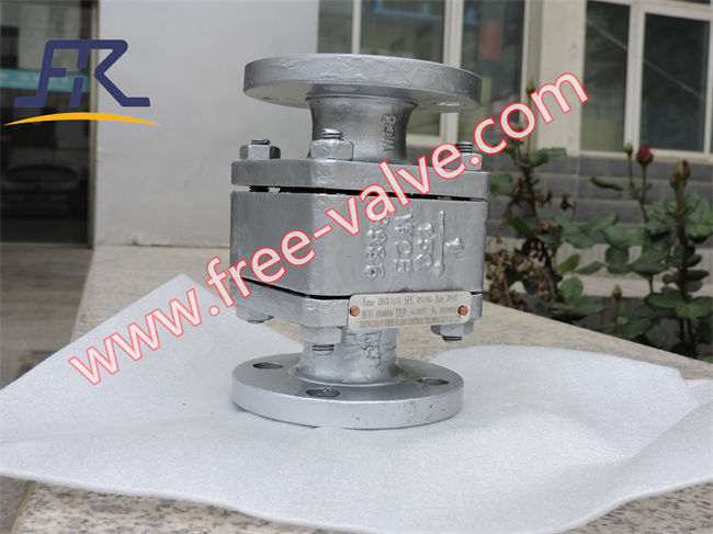 Check Valve with PTFE floating ball