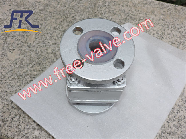 Check Valve with PTFE floating ball