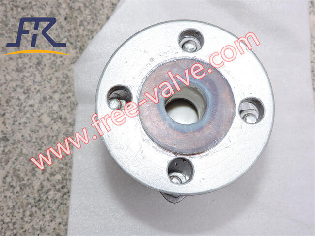 Lined Ball type Check Valve F46