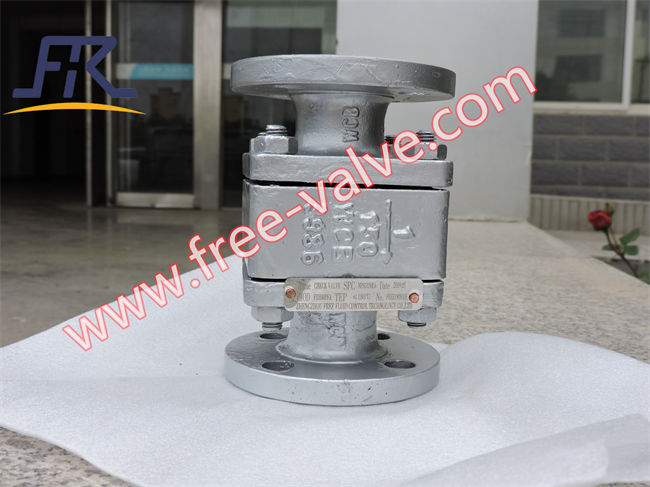 PTFE Floating Ball Check Valves