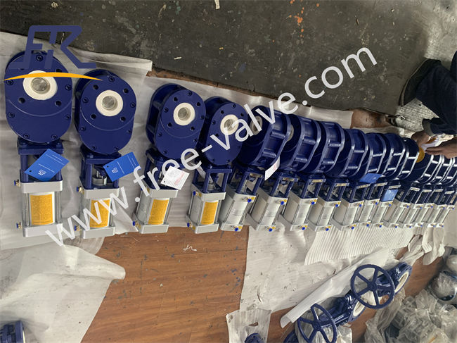 Pneumatic Ceramic Back Forth Sliding Gate Valve