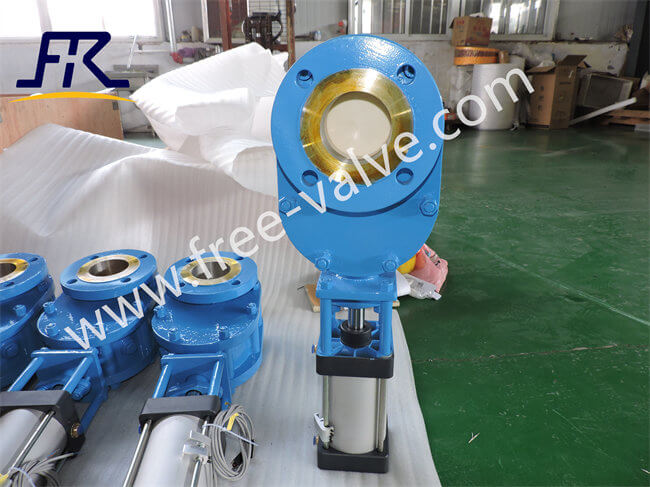 Supply FRZ644TC Ceramic Double Disc Gate Valve