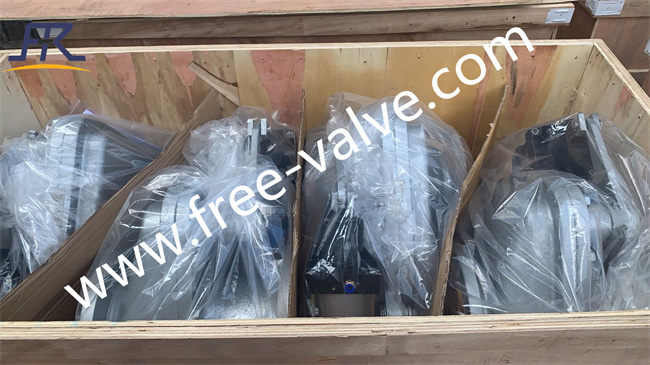 Packing about ceramic lined valves