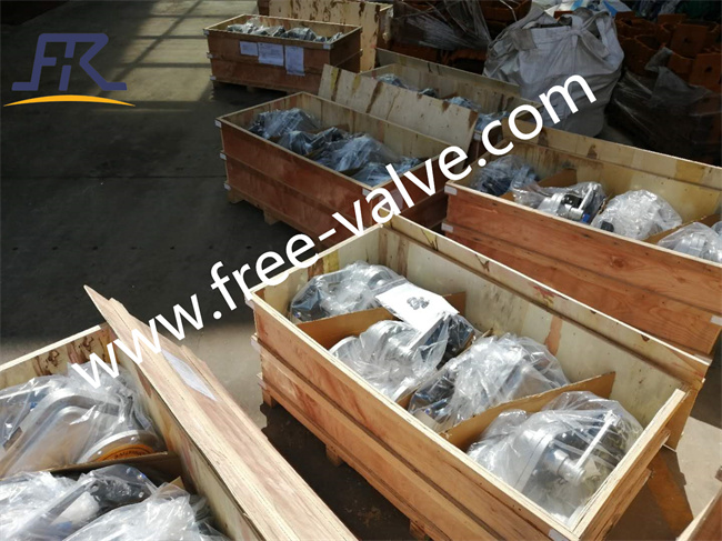 Packing about ceramic lined valves
