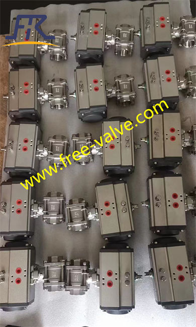 Thread end stainless steel ceramic lined ball valve