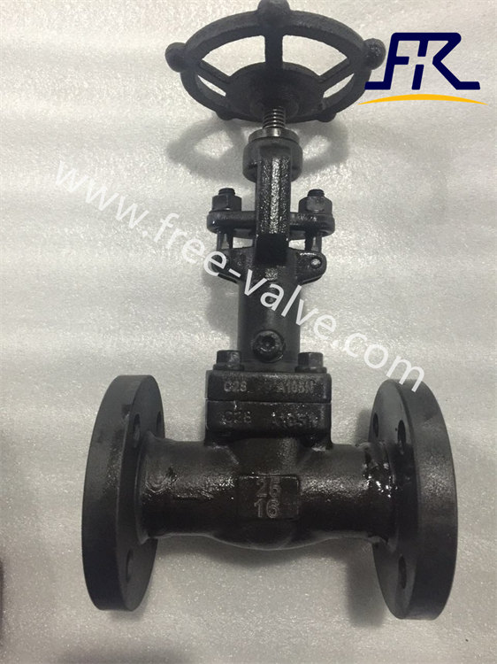 Forged steel Flanged Vacuum Isolation Globe Valve  A105