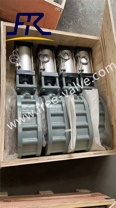 Pneumatic tungsten carbide double plate gate valve sent to Serbia