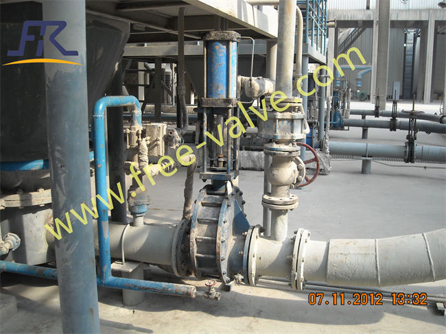 Pneumatic double disc gate valves application