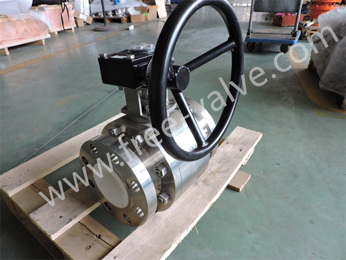 Wear and Corrosion resistant Worm Gear Operated Ceramic Lined Ball Valve