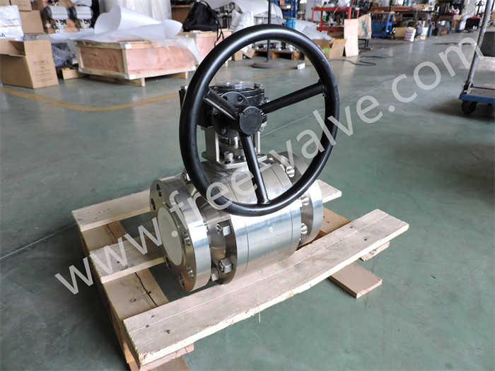 Wear and Corrosion resistant Worm Gear Operated Ceramic Lined Ball Valve