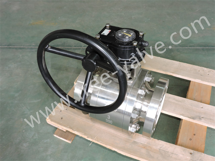 Wear and Corrosion resistant Worm Gear Operated Ceramic Lined Ball Valve