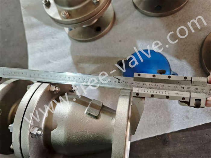 Analysis and Selection of Fluorine Lined Check Valve